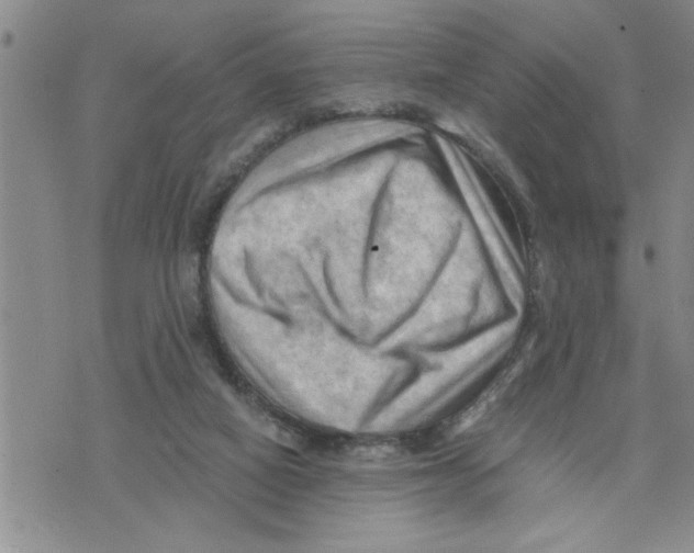 X0000075820066200610151505
