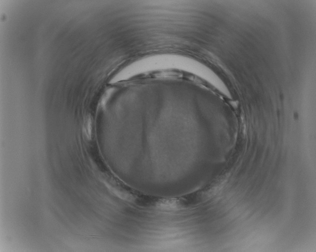 X0000075820076200610151505