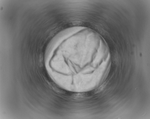 X0000075820082200610151505