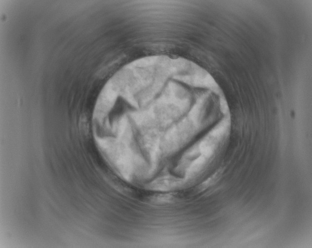 X0000075820086200610151506
