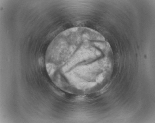 X0000075820090200610151506