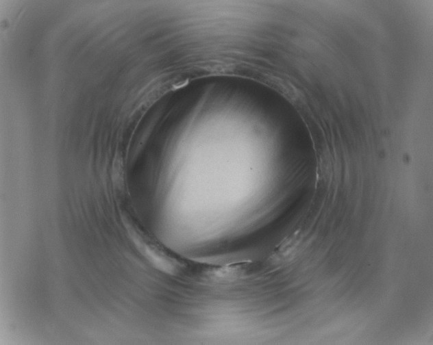 X0000075820092200610151506