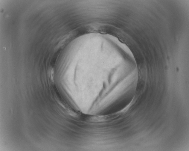 X0000075820094200610151506