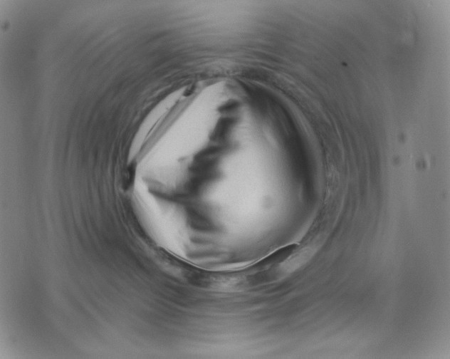 X0000075820096200610151506