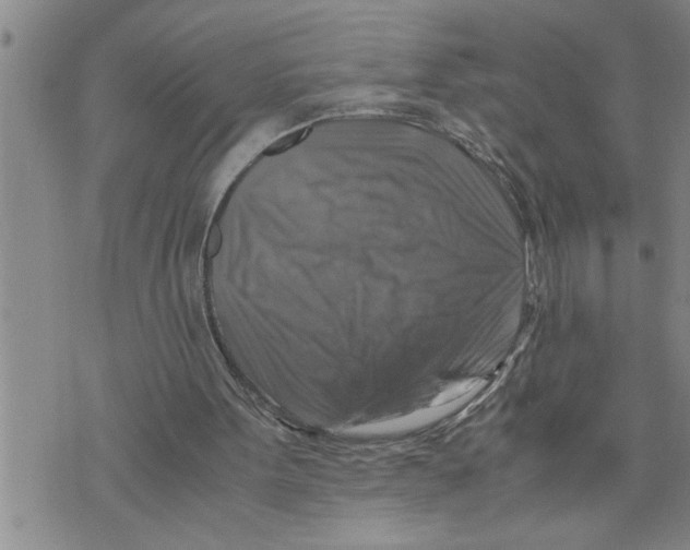 X0000075820099200610151505