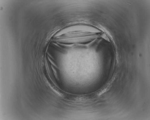 X0000075820105200610151505