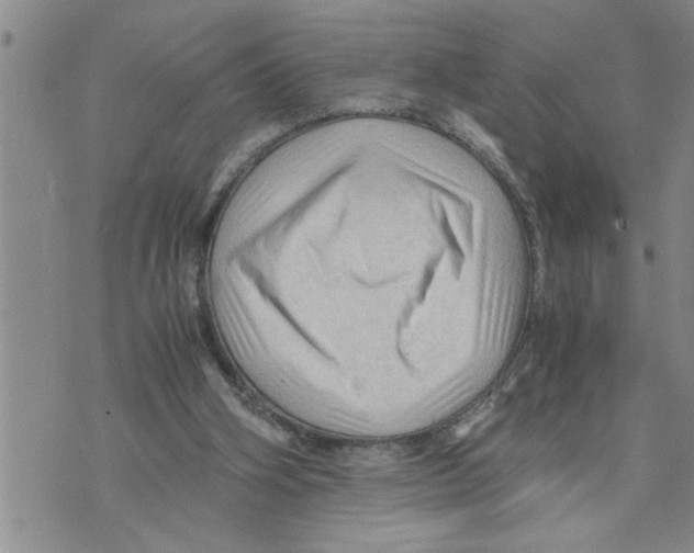X0000075820106200610151505