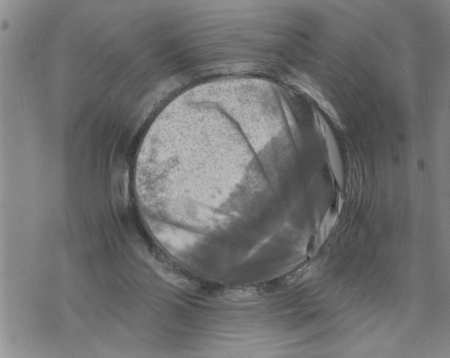 X0000075820110200610151505