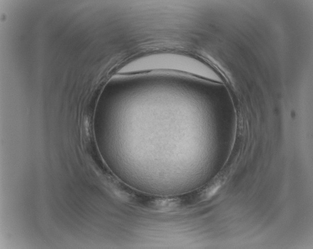 X0000075820117200610151505