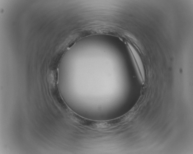 X0000075820121200610151505
