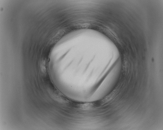 X0000075820122200610151504