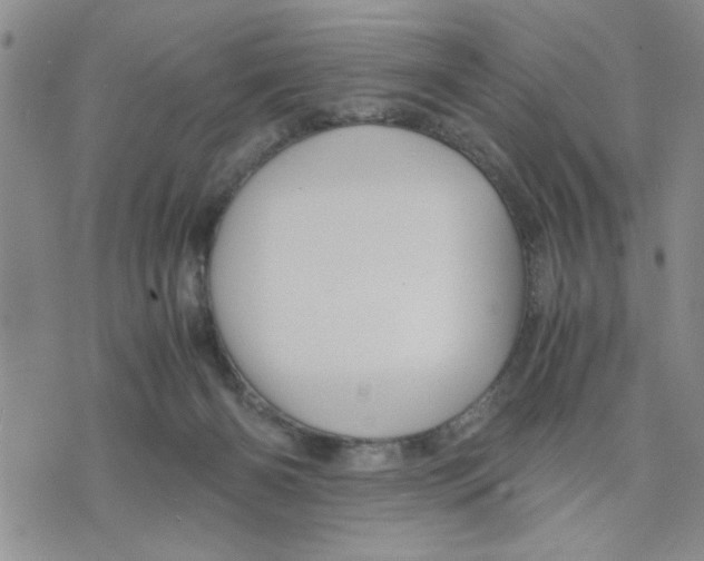 X0000075820126200610151504