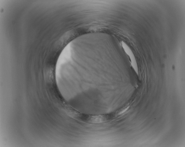 X0000075820127200610151504