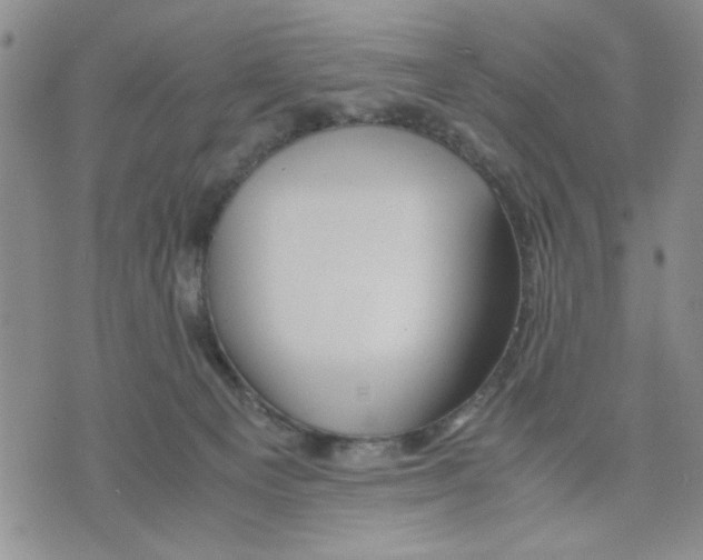 X0000075820129200610151504