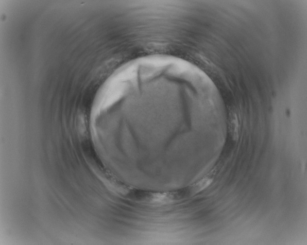 X0000075820130200610151504