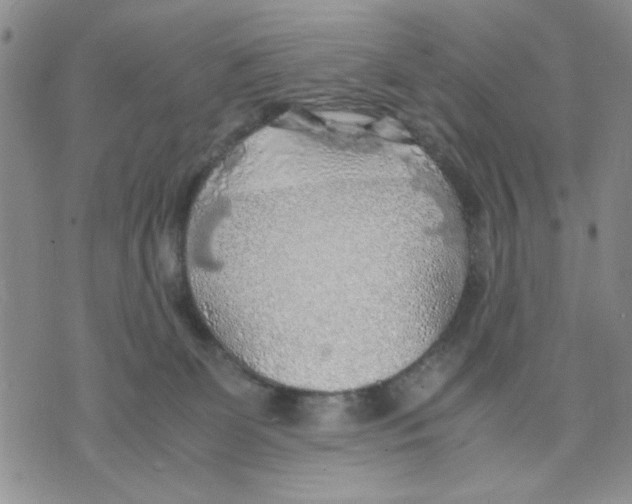 X0000075820131200610151504