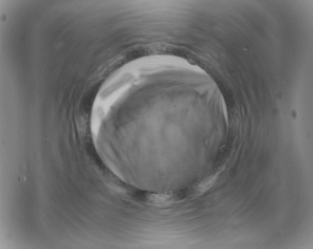 X0000075820139200610151504