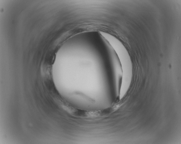 X0000075820141200610151504