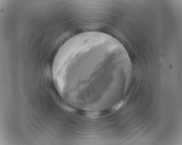X0000075820143200610151504