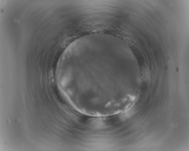 X0000075820182200610151504