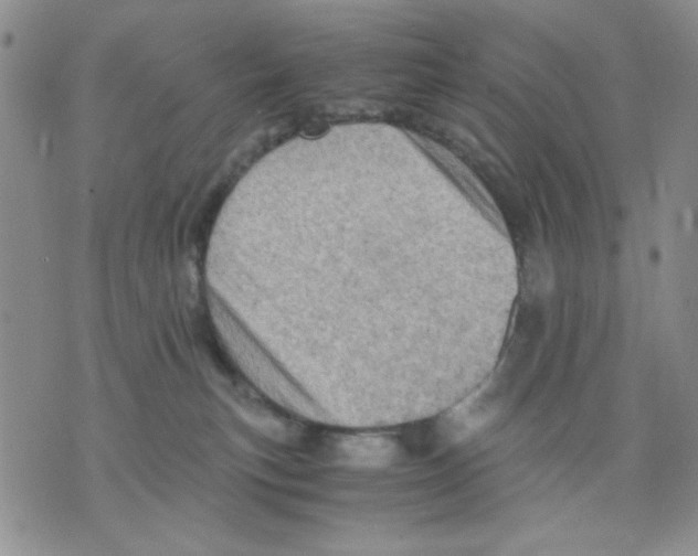 X0000075820183200610151504