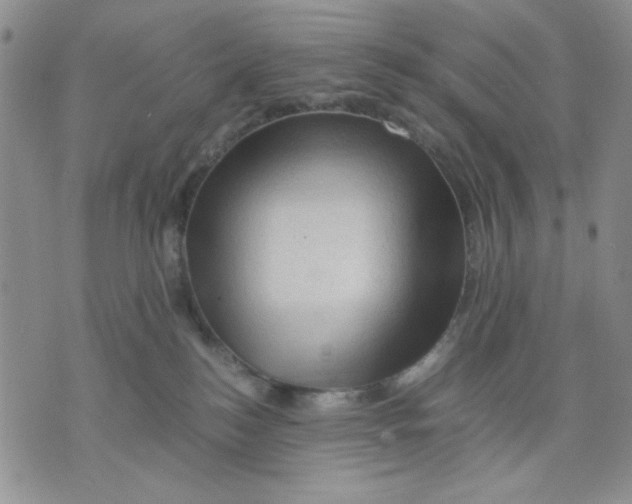 X0000075820184200610151504