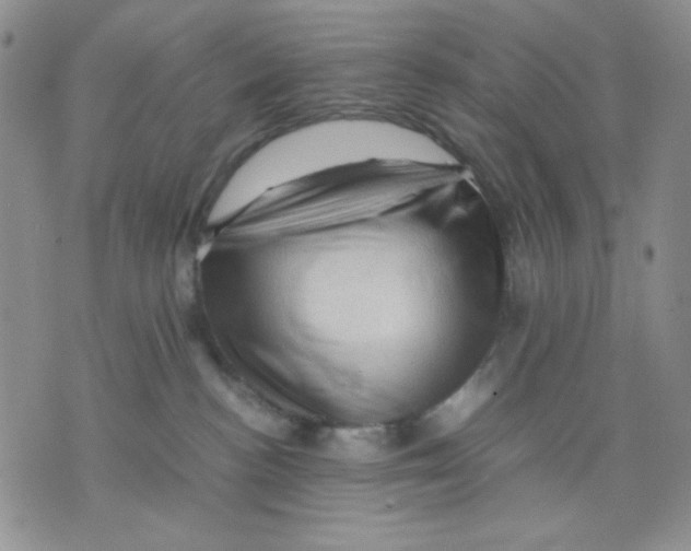 X0000075820188200610151504