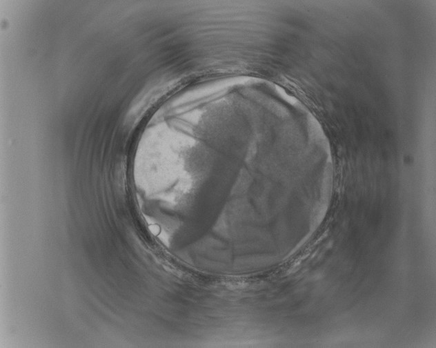 X0000075820194200610151503