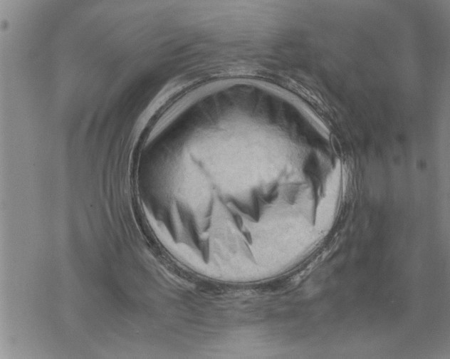 X0000075820195200610151503