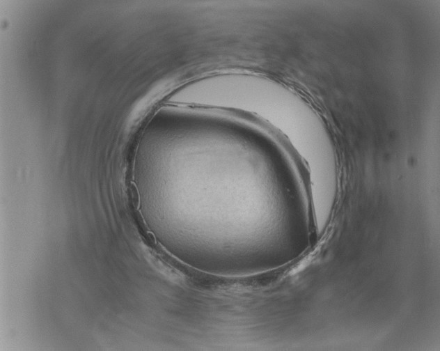 X0000075820197200610151503