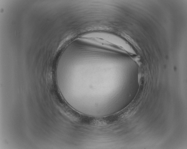 X0000075820207200610151503