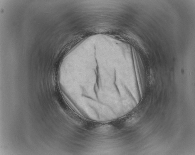 X0000075820210200610151503