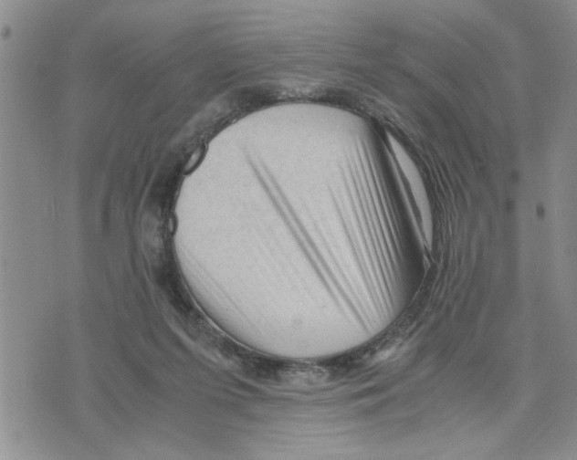 X0000075820215200610151503