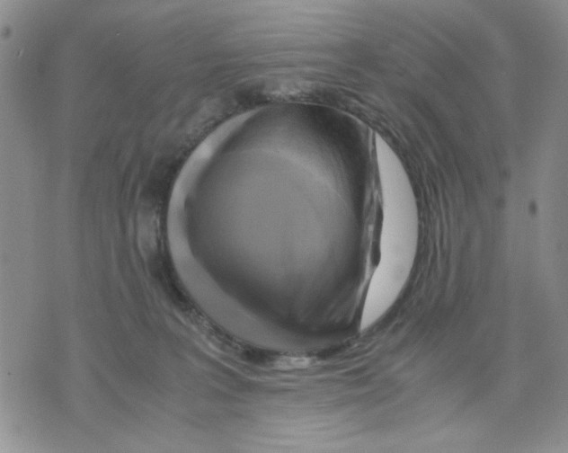 X0000075820227200610151503