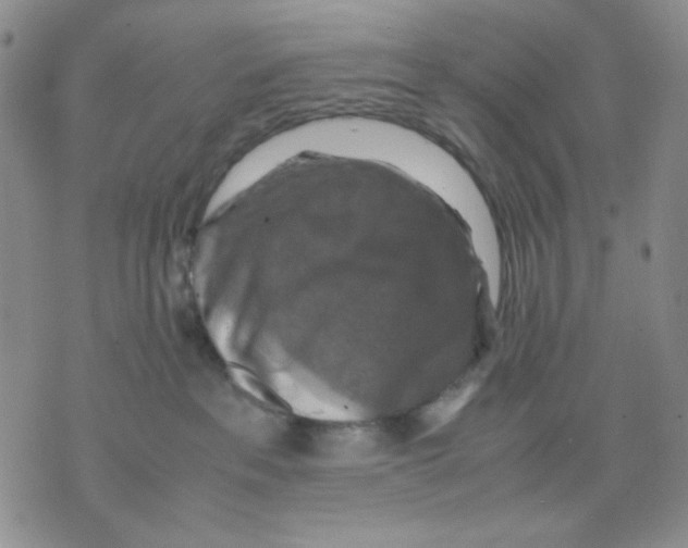 X0000075820237200610151503