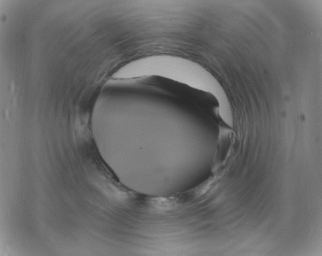 X0000075820239200610151502