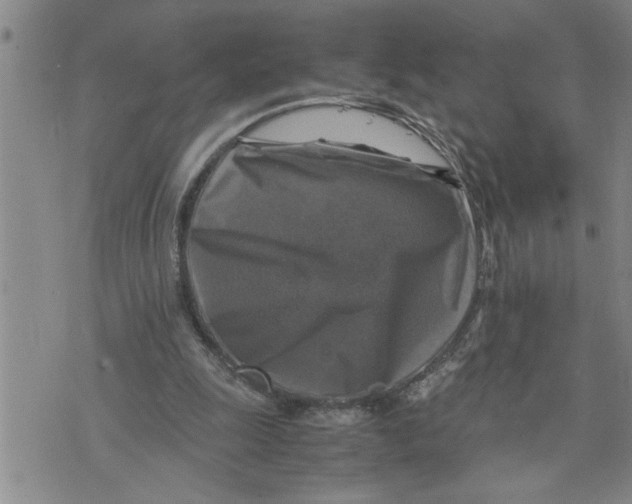 X0000075820247200610151502