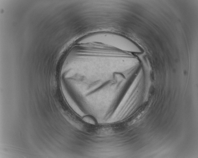 X0000075820252200610151502
