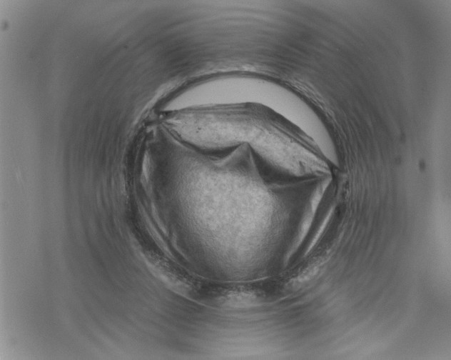 X0000075820256200610151502