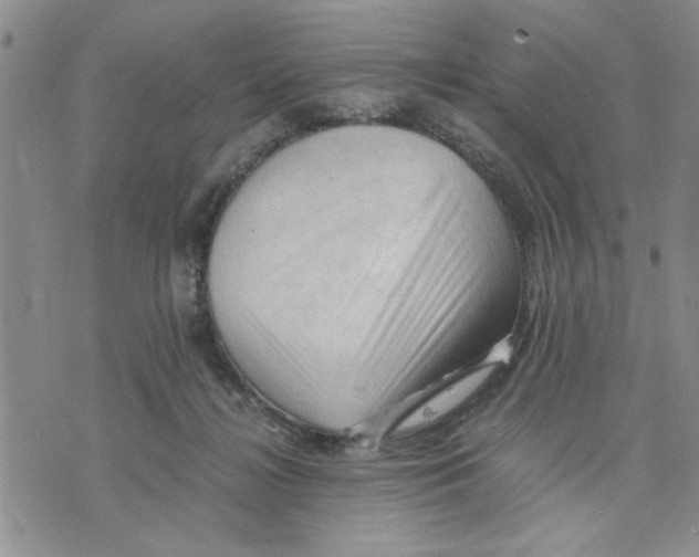X0000075820268200610151502