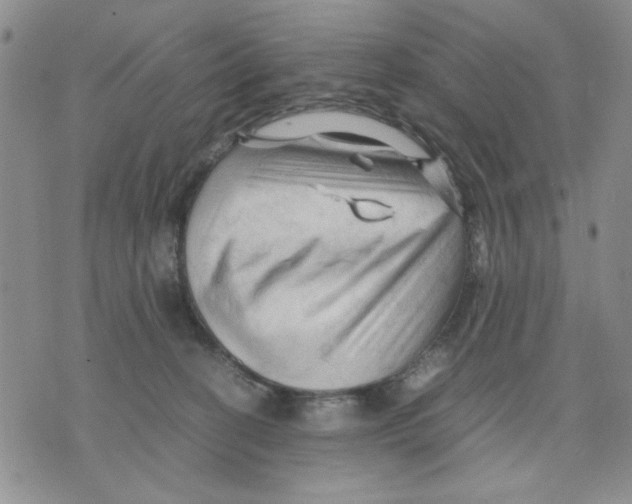 X0000075820274200610151502