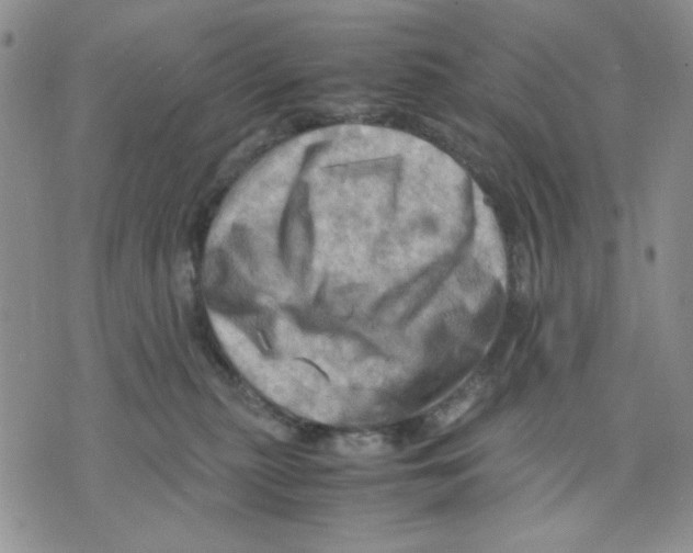 X0000075820279200610151502