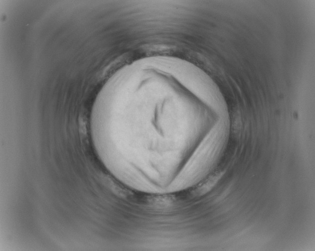 X0000075820282200610151502
