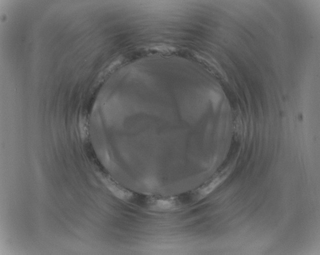 X0000075820285200610151502