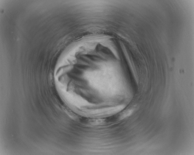 X0000075820288200610151502