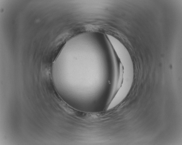 X0000075820329200610151501