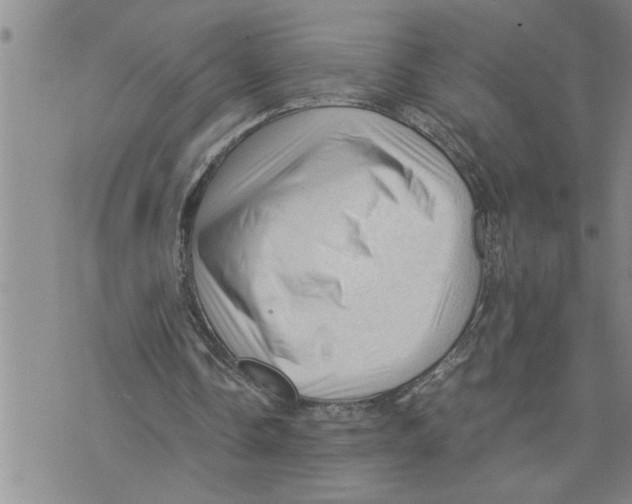 X0000075820338200610151500