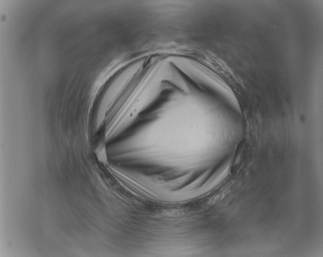 X0000075820344200610151500