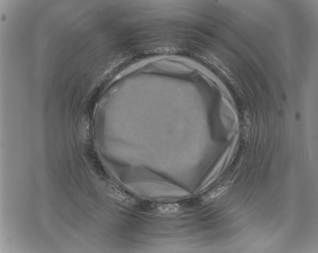 X0000075820355200610151500