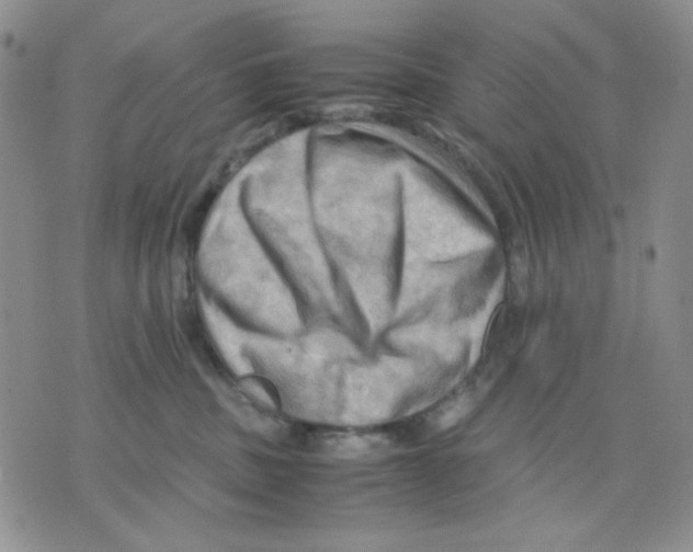 X0000075820379200610151501